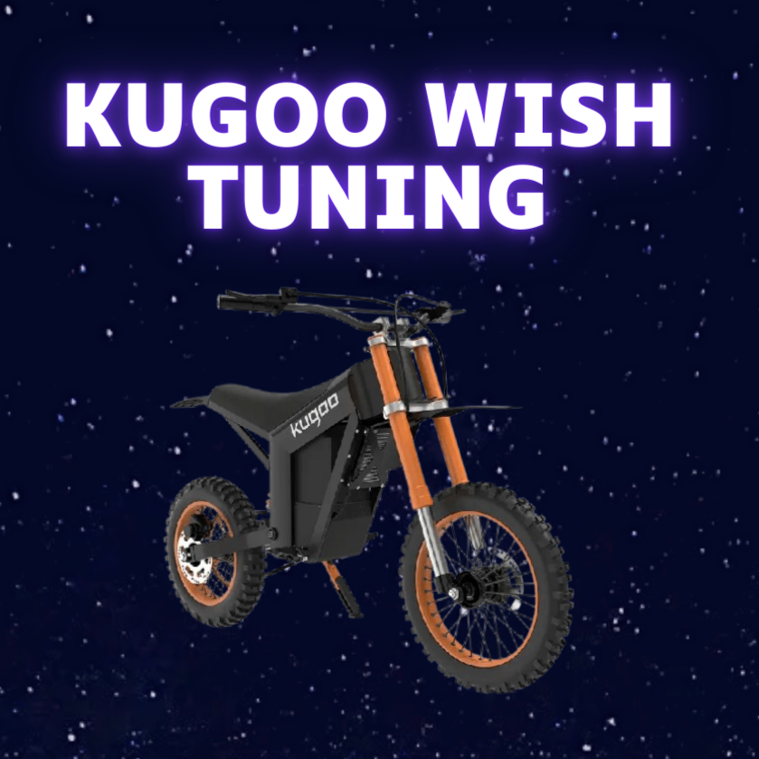 Kugoo Wish Professional tuning